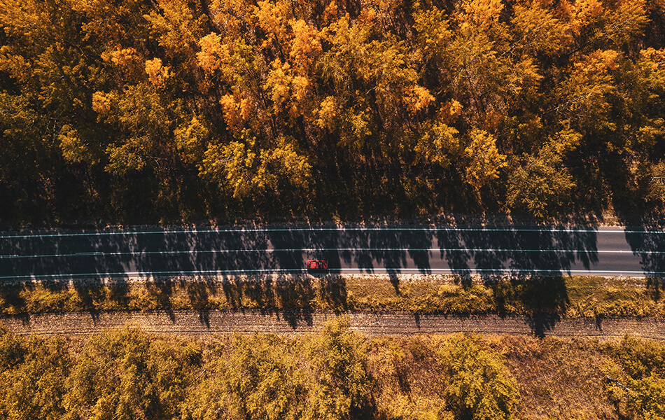 Fun Fall Vehicles 5 Fun Fall Activities You Can Do From Your Car - Quick-Set Auto Glass
