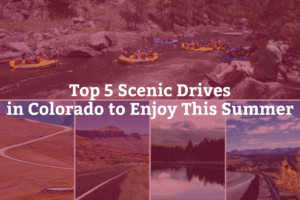 Top 5 Drives July 2025