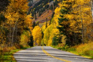 Oct 2025 Aspen Fall Drive