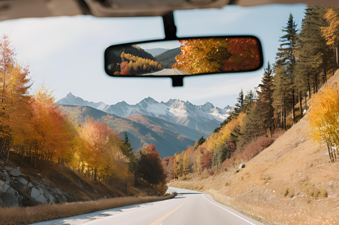 Driving In Fall